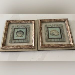 Coastal Decor, Seashell Wall Art Pair in Aqua and Gold-Toned Frames